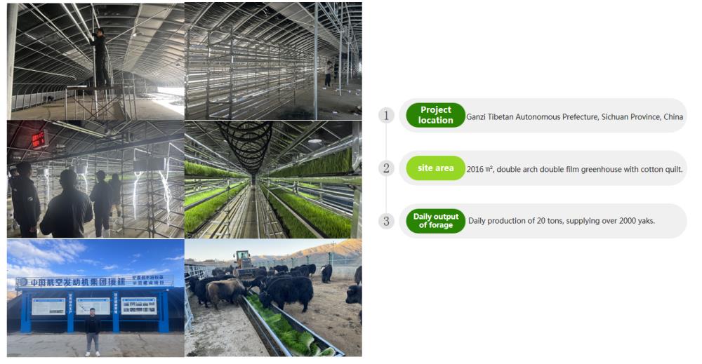 Plant Factory in Garze Prefecture, Sichuan Province