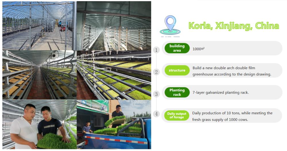 Xinjiang Korla Plant Factory