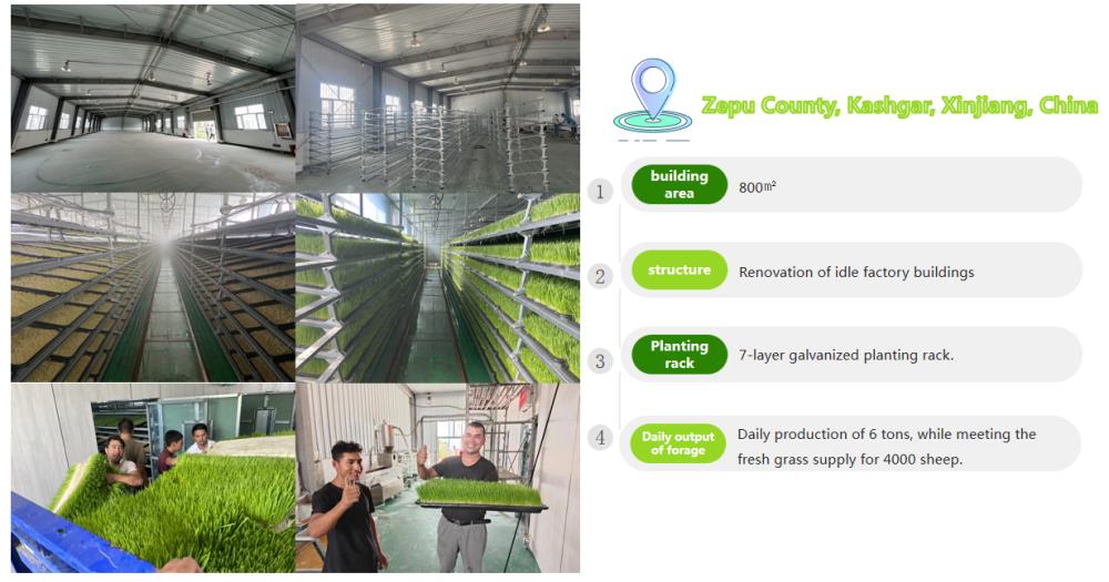Plant Factory in Zepu, Xinjiang