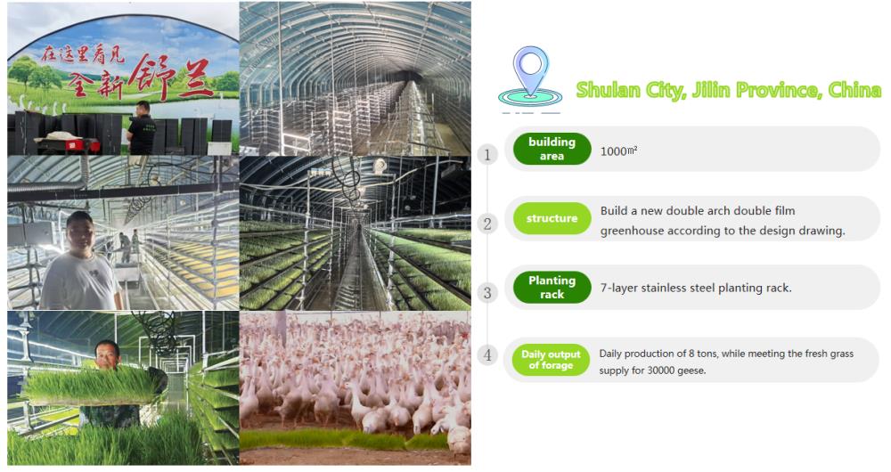 Plant Factory in Shulan, Jilin