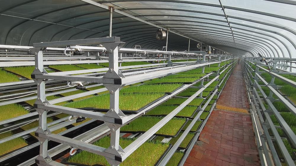 Double arch double film greenhouse type plant factory