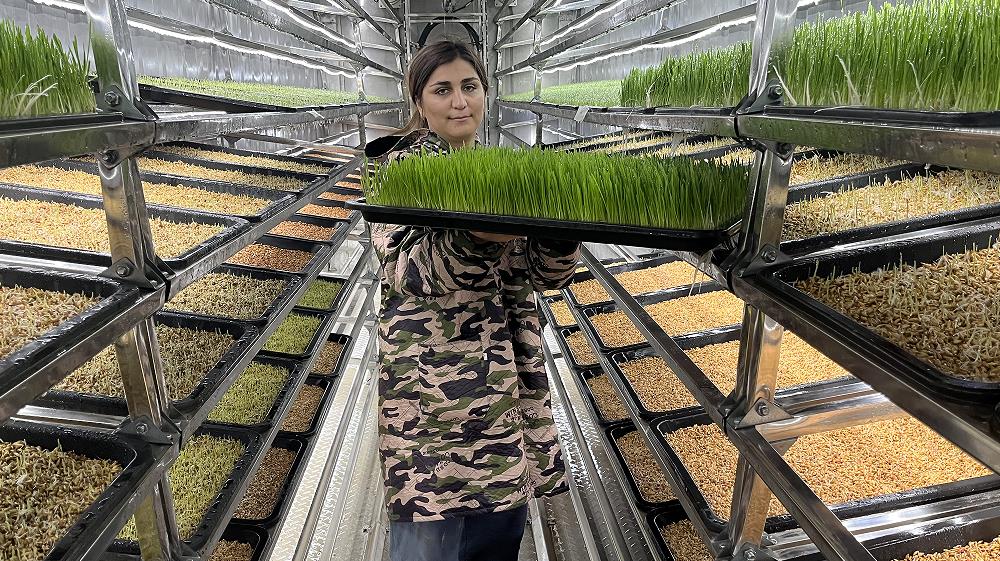 Warehouse redesign grass factory