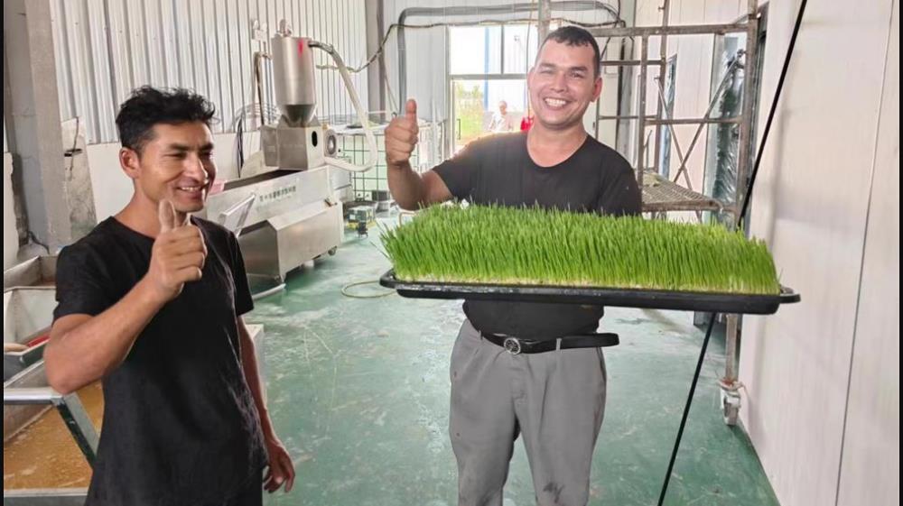 Garage redesign plant factory