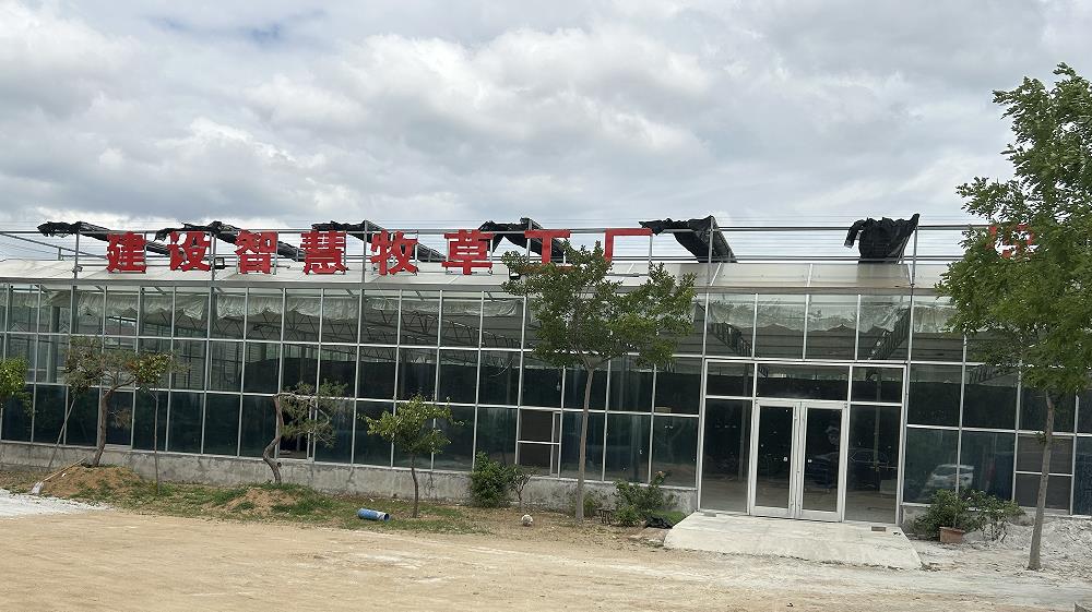Glass greenhouse type plant factory